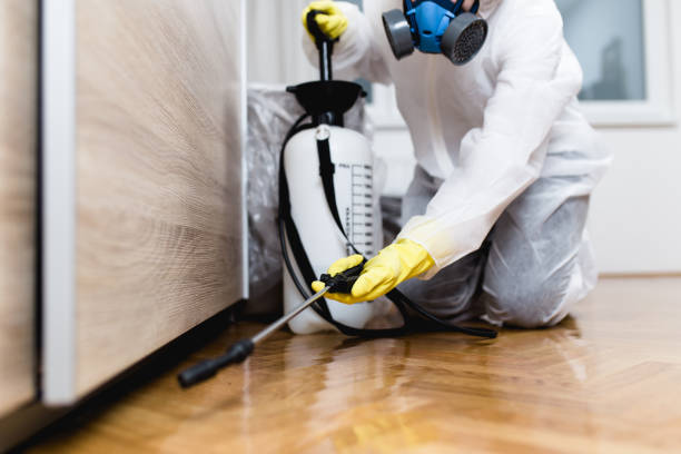 Best Termite Control Services  in Millers Falls, MA