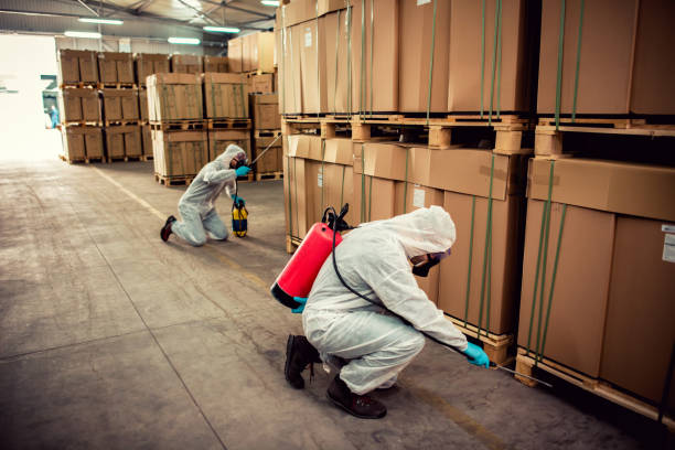  Millers Falls, MA Pest Control Pros