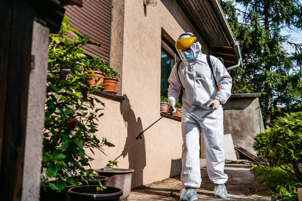 Best Affordable Pest Control Services  in Millers Falls, MA