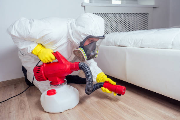 Best Mosquito Control Services  in Millers Falls, MA