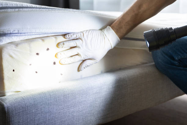Best Pest Prevention Services  in Millers Falls, MA