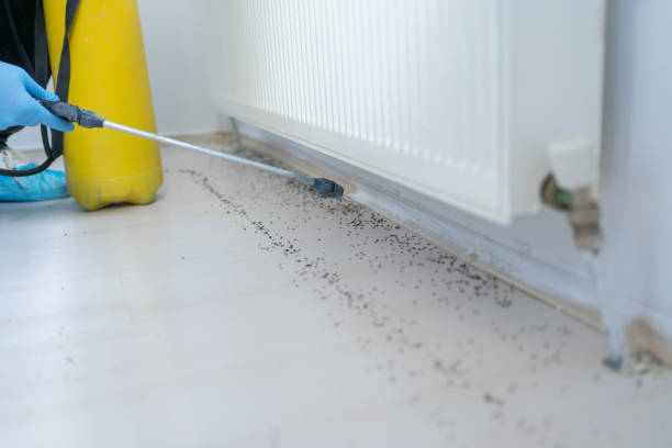 Best Commercial Pest Control Services  in Millers Falls, MA