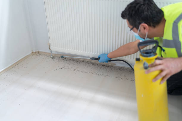 Best Local Pest Control Services  in Millers Falls, MA